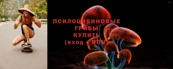 наркотики Белокуриха