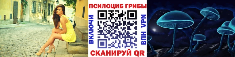 цена   Ялуторовск  Галлюциногенные грибы MAGIC MUSHROOMS 